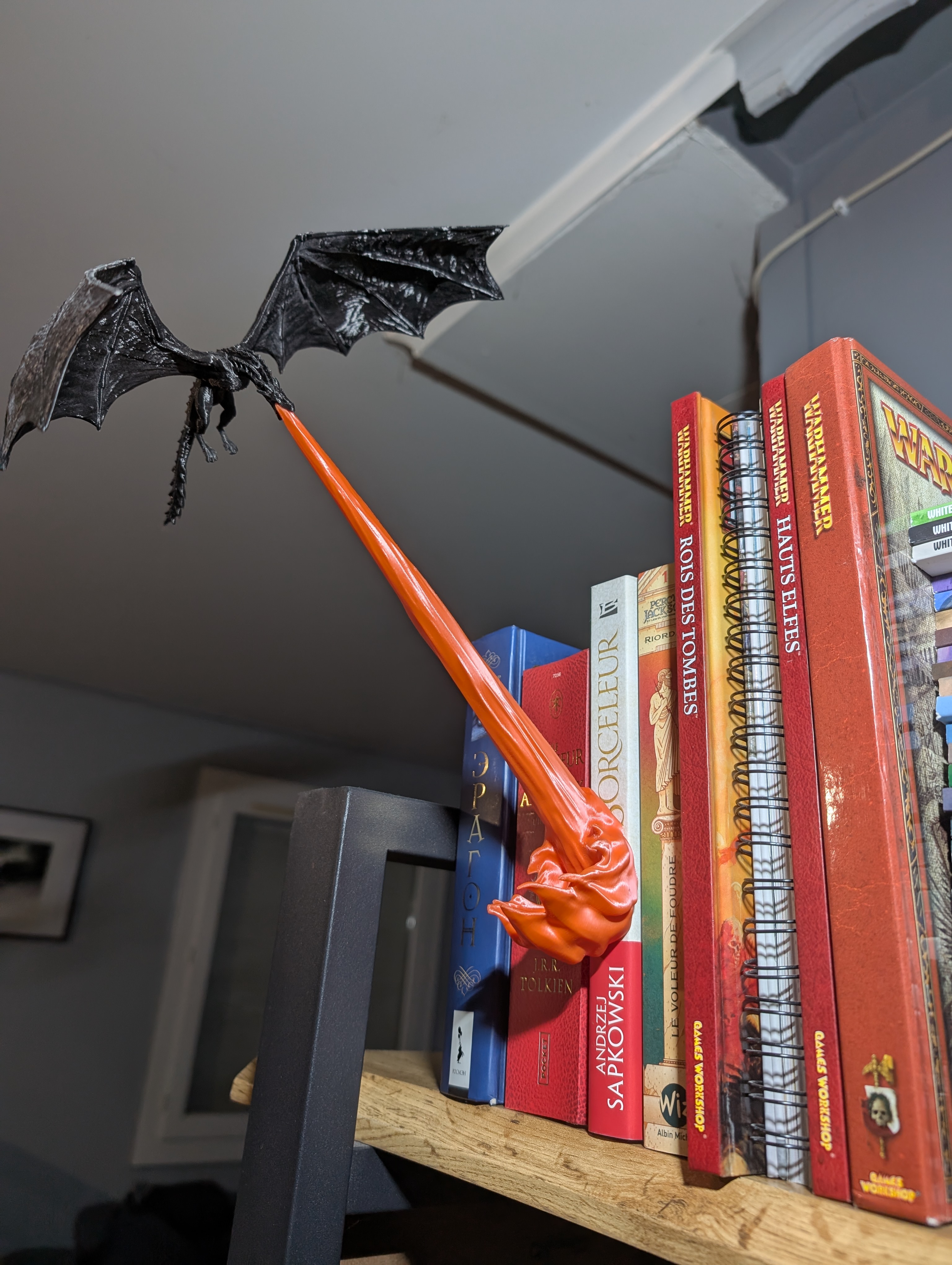 Dragon Serre Livre Deco 